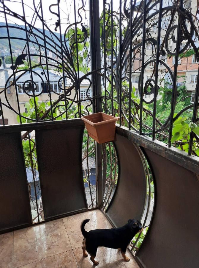 Tbilisi Philharmonia Apartment Екстер'єр фото